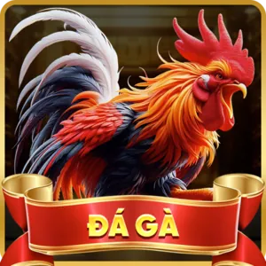 Đa dạng giải đấu